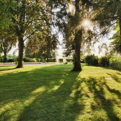 Giardino-Retro-Borgo-Dei-Conti-Della-Torre